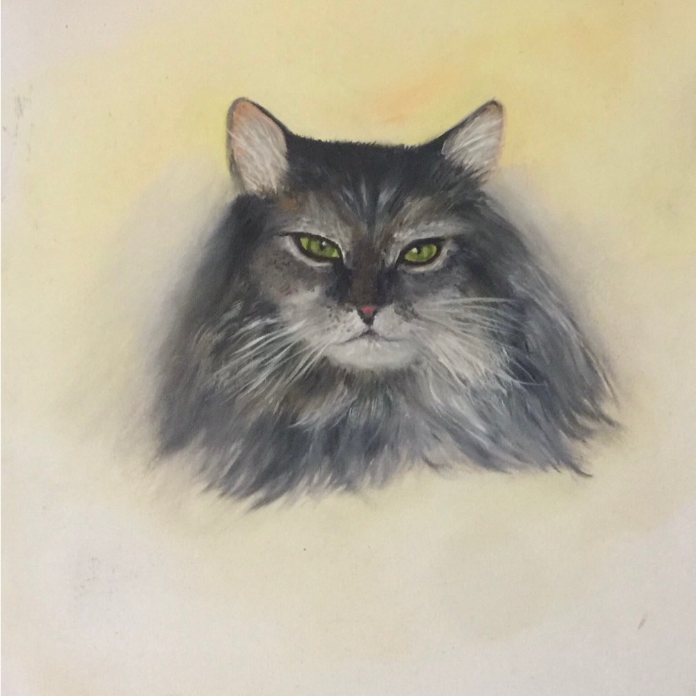portrait Cat - Picture 2 of 4